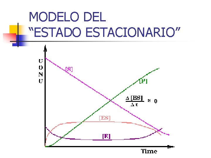 MODELO DEL “ESTADO ESTACIONARIO” 