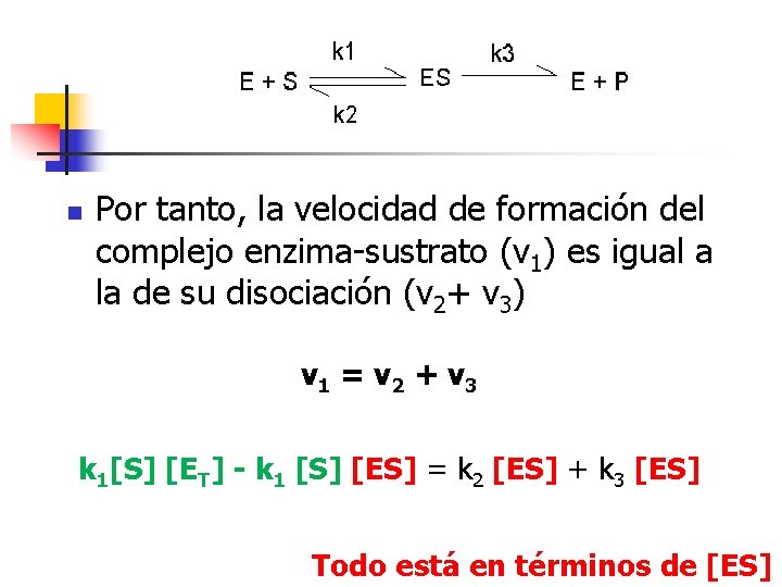 n Por tanto, la velocidad de formación del complejo enzima-sustrato (v 1) es igual
