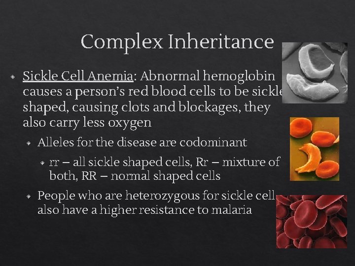 Complex Inheritance ◈ Sickle Cell Anemia: Abnormal hemoglobin causes a person’s red blood cells