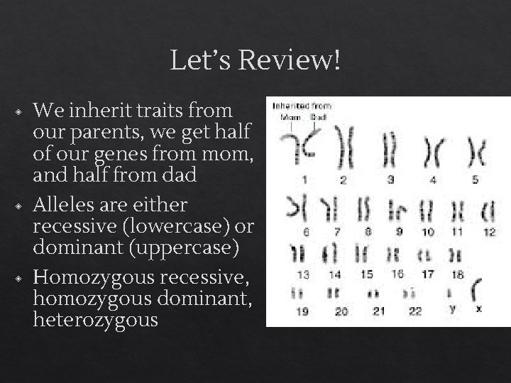 Let’s Review! ◈ ◈ ◈ We inherit traits from our parents, we get half