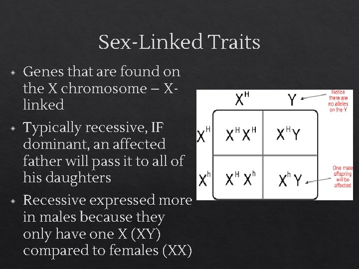 Sex-Linked Traits ◈ Genes that are found on the X chromosome – Xlinked ◈