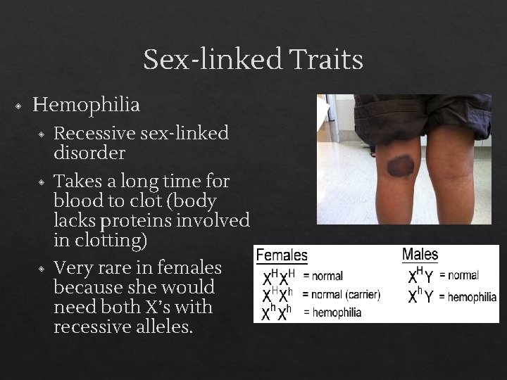 Sex-linked Traits ◈ Hemophilia ◈ Recessive sex-linked disorder ◈ Takes a long time for