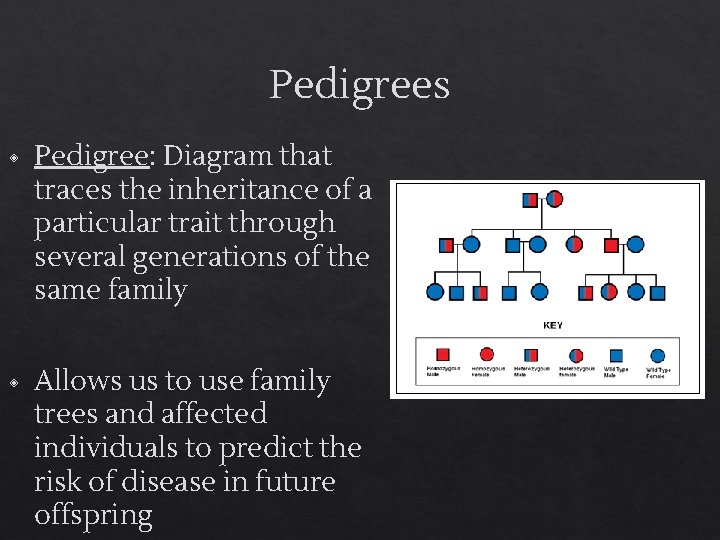 Pedigrees ◈ Pedigree: Diagram that traces the inheritance of a particular trait through several