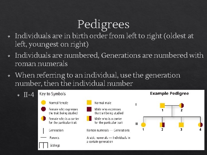 Pedigrees ◈ Individuals are in birth order from left to right (oldest at left,