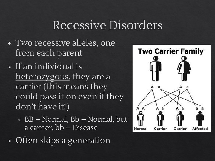 Recessive Disorders ◈ Two recessive alleles, one from each parent ◈ If an individual