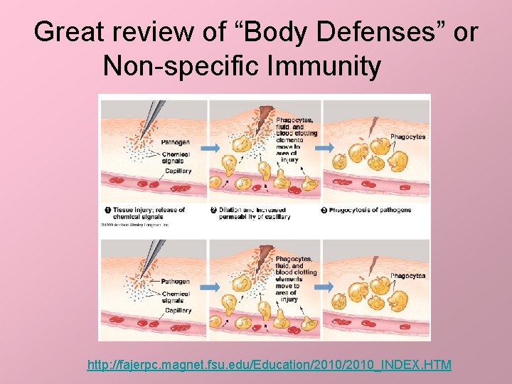 Great review of “Body Defenses” or Non-specific Immunity http: //fajerpc. magnet. fsu. edu/Education/2010_INDEX. HTM