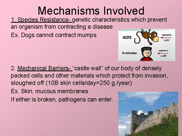 Mechanisms Involved 1. Species Resistance- genetic characteristics which prevent an organism from contracting a