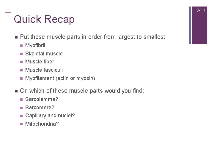 + 9 -11 Quick Recap n n Put these muscle parts in order from