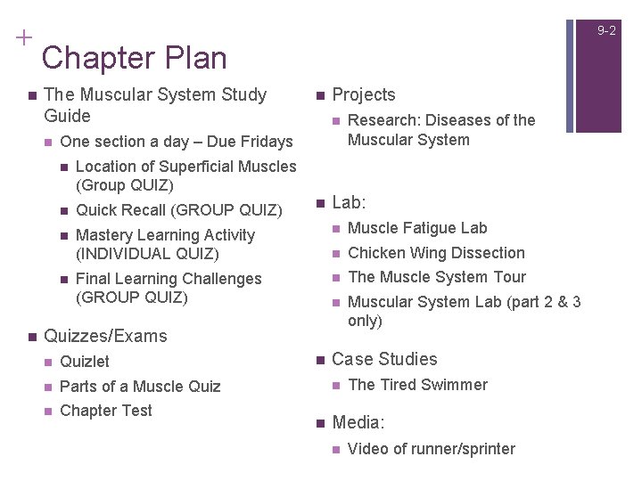+ n 9 -2 Chapter Plan The Muscular System Study Guide n Projects n