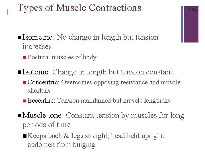 Types of Muscle Contractions + n Isometric: No change in length but tension increases