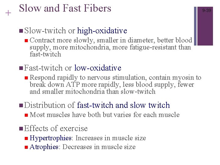 Slow and Fast Fibers + n Slow-twitch or high-oxidative n Contract more slowly, smaller