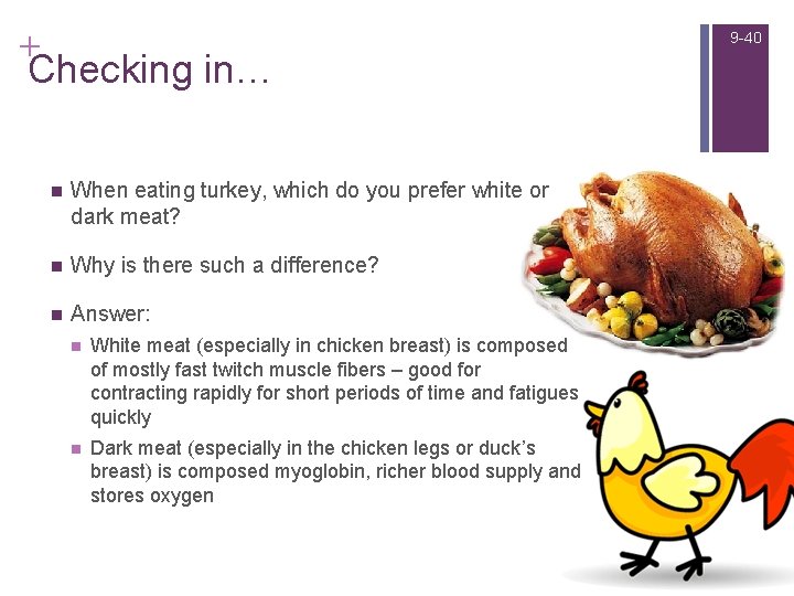 + Checking in… n When eating turkey, which do you prefer white or dark