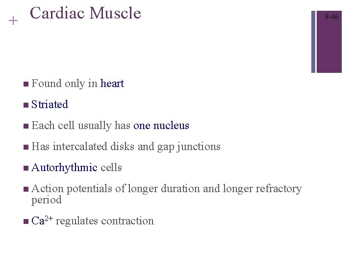 Cardiac Muscle + n Found only in heart n Striated n Each n Has