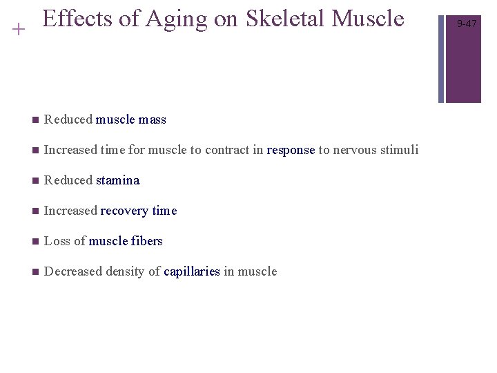 Effects of Aging on Skeletal Muscle + n Reduced muscle mass n Increased time