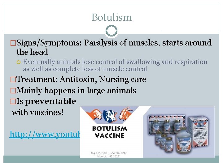 Botulism �Signs/Symptoms: Paralysis of muscles, starts around the head Eventually animals lose control of Botulism �Signs/Symptoms: Paralysis of muscles, starts around the head Eventually animals lose control of