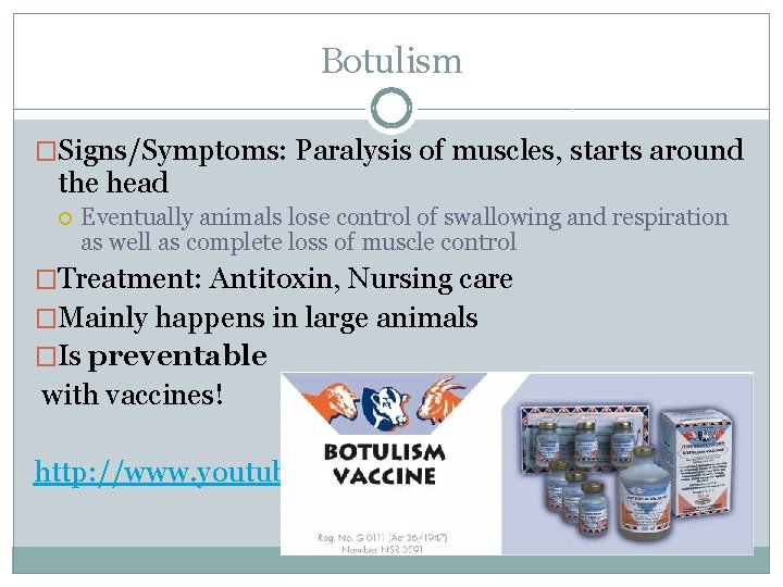 Botulism �Signs/Symptoms: Paralysis of muscles, starts around the head Eventually animals lose control of