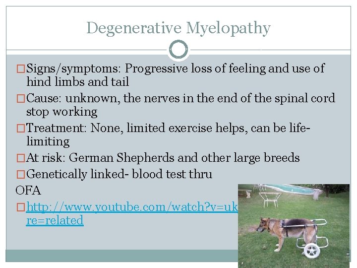 Degenerative Myelopathy �Signs/symptoms: Progressive loss of feeling and use of hind limbs and tail Degenerative Myelopathy �Signs/symptoms: Progressive loss of feeling and use of hind limbs and tail