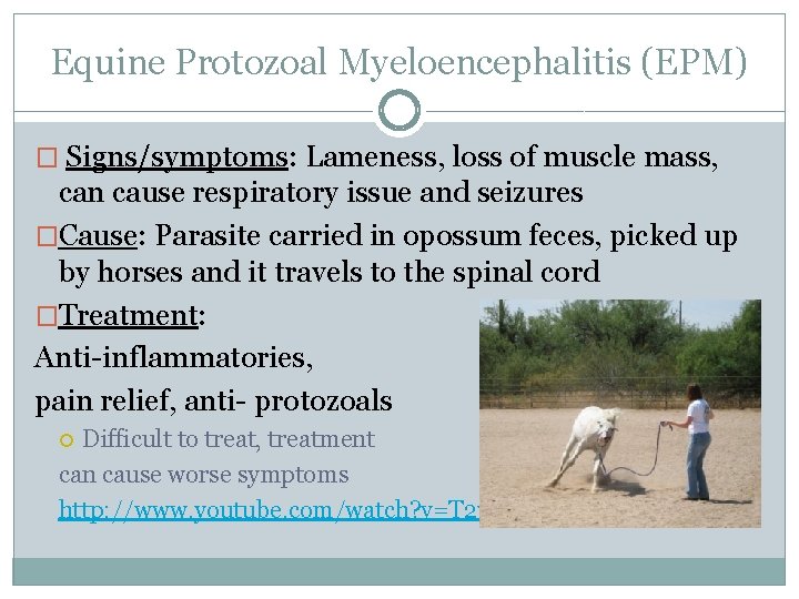 Equine Protozoal Myeloencephalitis (EPM) � Signs/symptoms: Lameness, loss of muscle mass, can cause respiratory