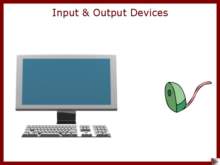 Input & Output Devices 