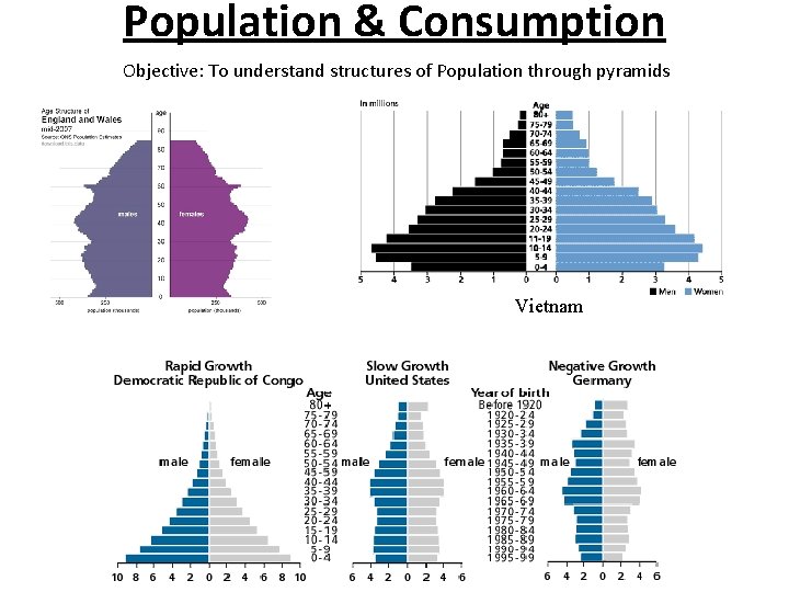 Population & Consumption Objective: To understand structures of Population through pyramids Vietnam 