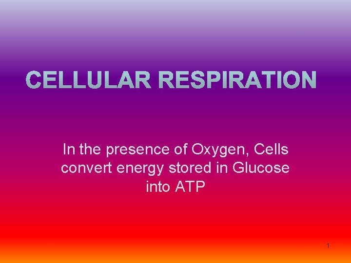 In the presence of Oxygen, Cells convert energy stored in Glucose into ATP 1