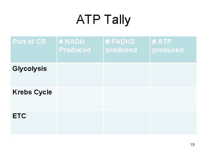 ATP Tally Part of CR # NADH Produced # FADH 2 produced # ATP