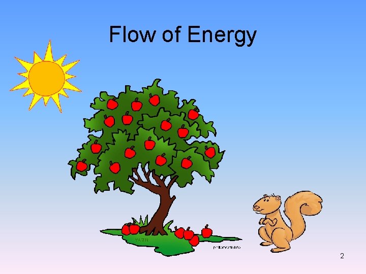 Flow of Energy 2 