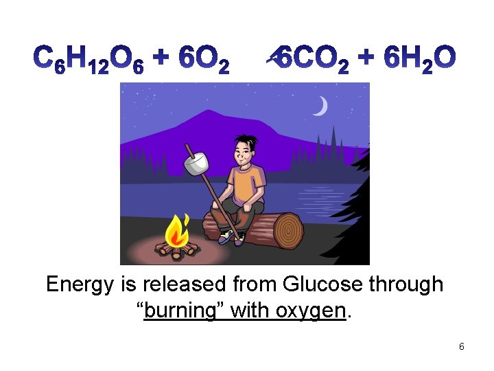 Energy is released from Glucose through “burning” with oxygen. 6 