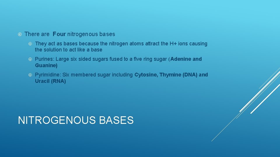  There are Four nitrogenous bases They act as bases because the nitrogen atoms