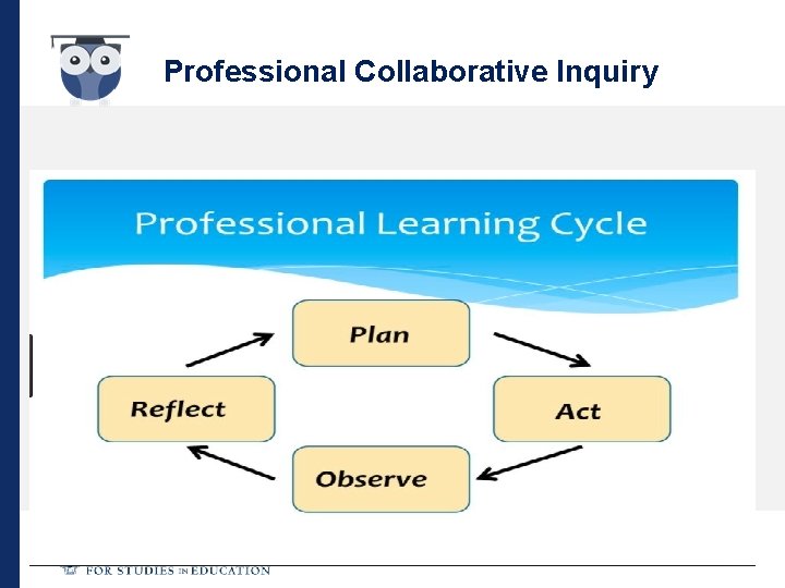 Professional Collaborative Inquiry 