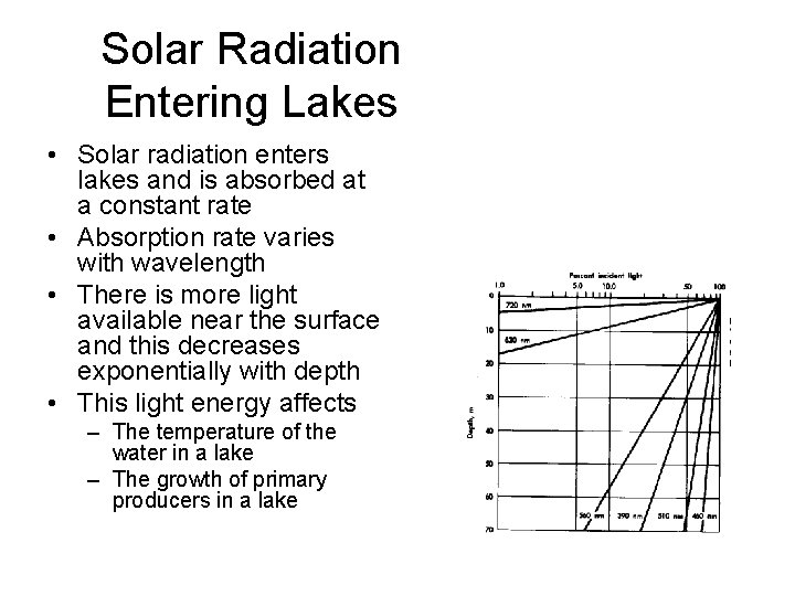 Solar Radiation Entering Lakes • Solar radiation enters lakes and is absorbed at a