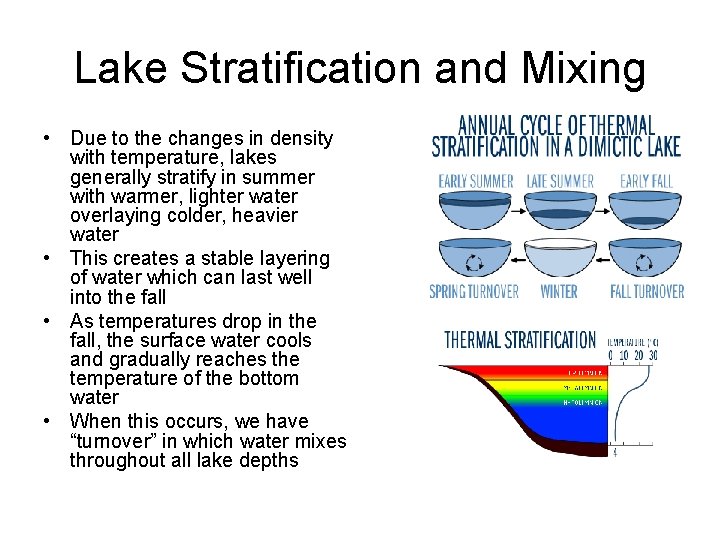 Lake Stratification and Mixing • Due to the changes in density with temperature, lakes