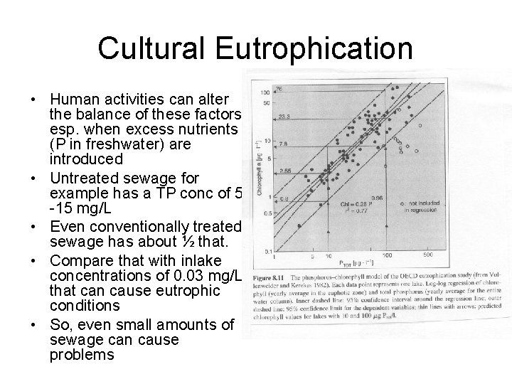 Cultural Eutrophication • Human activities can alter the balance of these factors, esp. when