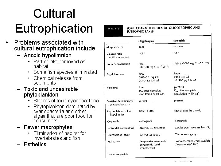 Cultural Eutrophication • Problems associated with cultural eutrophication include – Anoxic hypolimnion • Part
