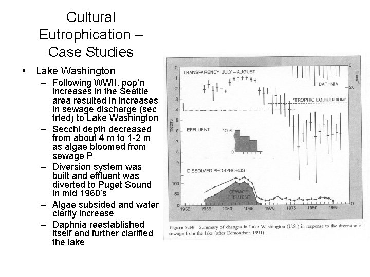 Cultural Eutrophication – Case Studies • Lake Washington – Following WWII, pop’n increases in