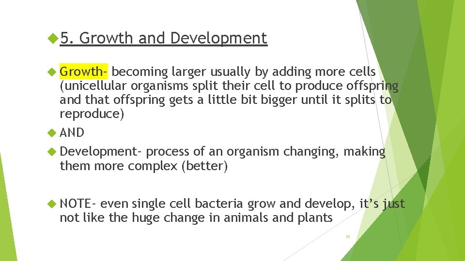  5. Growth and Development Growth- becoming larger usually by adding more cells (unicellular