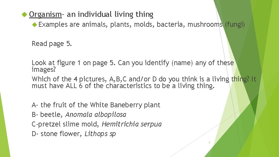  Organism- an individual living thing Examples are animals, plants, molds, bacteria, mushrooms (fungi)