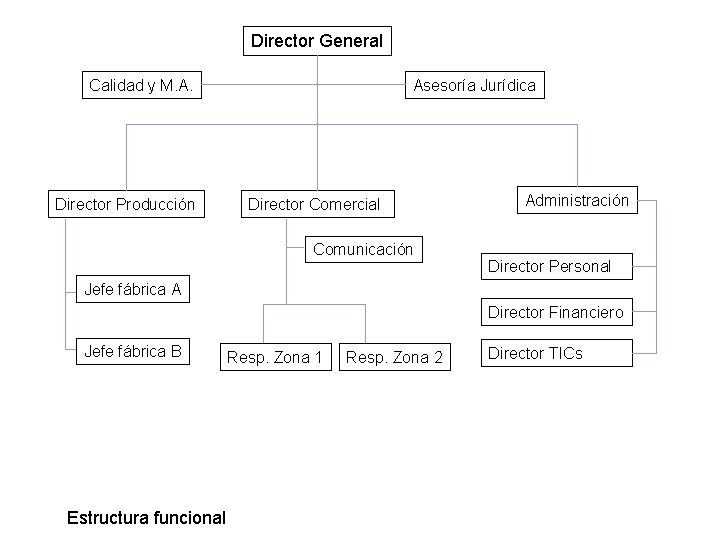 Director General Calidad y M. A. Director Producción Asesoría Jurídica Director Comercial Comunicación Administración