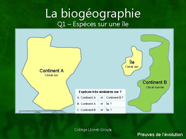 La biogéographie Q 1 – Espèces sur une île A. Si les espèces avaient