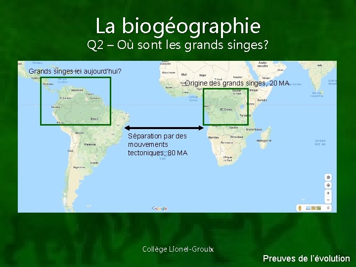 La biogéographie Q 2 – Où sont les grands singes? Grands singes ici aujourd’hui?