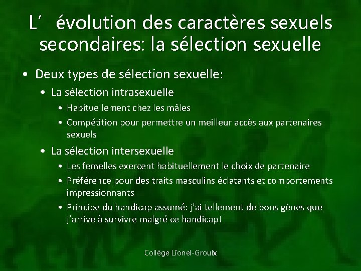 L’évolution des caractères sexuels secondaires: la sélection sexuelle • Deux types de sélection sexuelle: