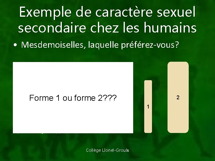 Exemple de caractère sexuel secondaire chez les humains • Mesdemoiselles, laquelle préférez-vous? Taille moyenne