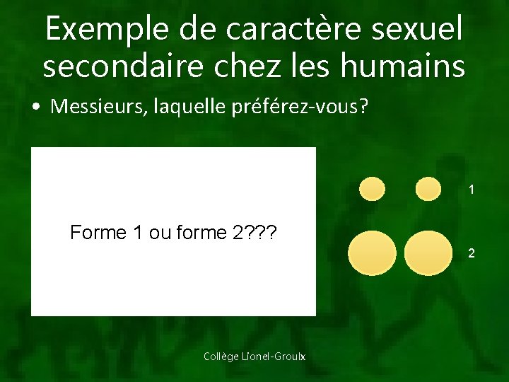 Exemple de caractère sexuel secondaire chez les humains • Messieurs, laquelle préférez-vous? Seules femelles