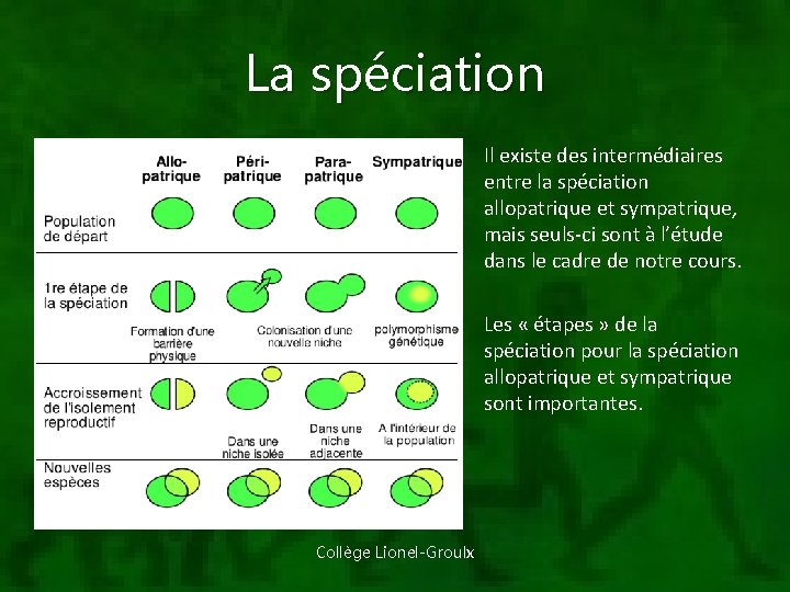 La spéciation Il existe des intermédiaires entre la spéciation allopatrique et sympatrique, mais seuls-ci