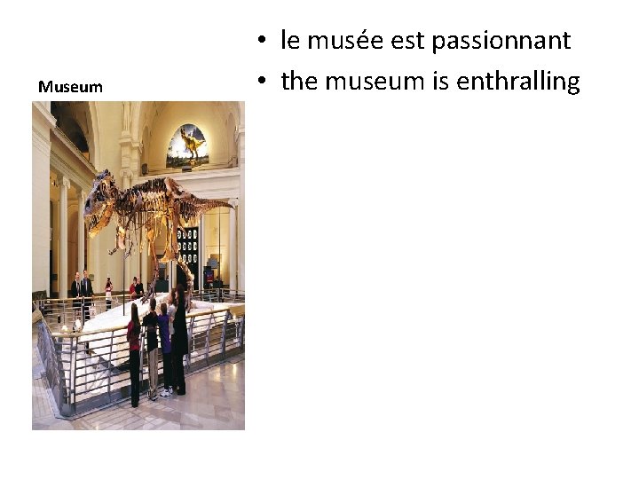 Museum • le musée est passionnant • the museum is enthralling 