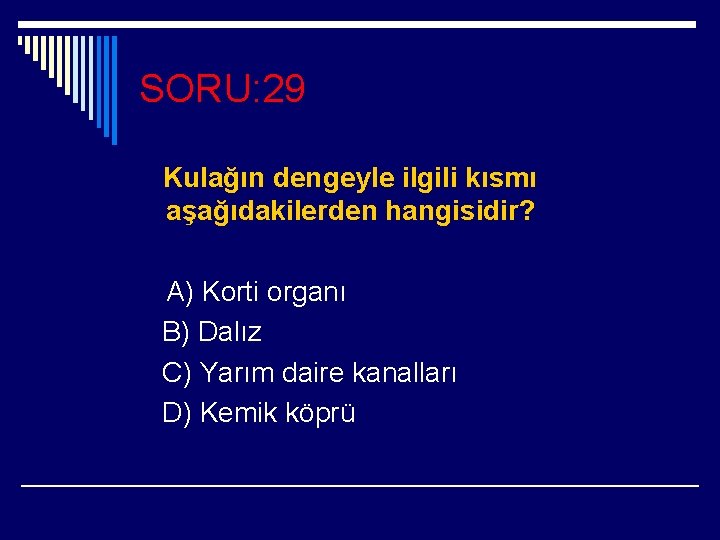 SORU: 29 Kulağın dengeyle ilgili kısmı aşağıdakilerden hangisidir? A) Korti organı B) Dalız C)