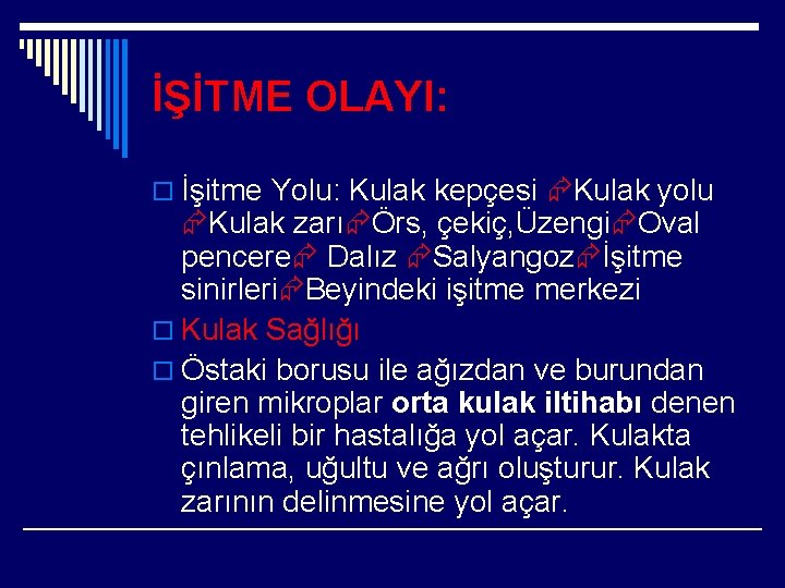 İŞİTME OLAYI: o İşitme Yolu: Kulak kepçesi Kulak yolu Kulak zarı Örs, çekiç, Üzengi