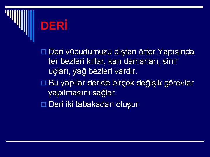 DERİ o Deri vücudumuzu dıştan örter. Yapısında ter bezleri kıllar, kan damarları, sinir uçları,