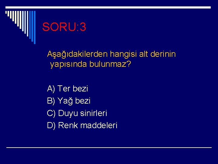 SORU: 3 Aşağıdakilerden hangisi alt derinin yapısında bulunmaz? A) Ter bezi B) Yağ bezi