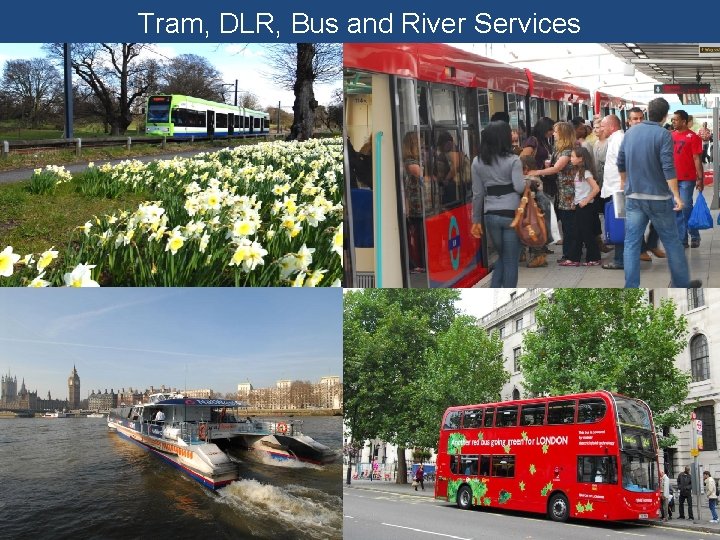 Tram, DLR, Bus and River Services 